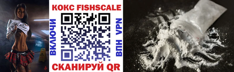 Кокаин FishScale  Купить  Ардатов 