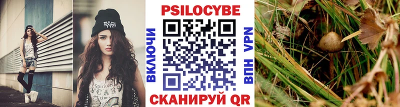Галлюциногенные грибы Psilocybe  Купить где  Ардатов 