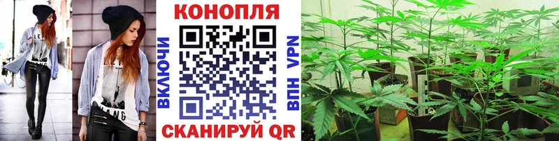 Марихуана план  Купить  Ардатов 